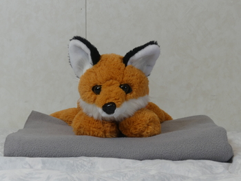 Unnamed 35 (Red Fox, Bass Pro Shops)